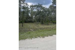 0 ZEBRAFINCH AVENUE, WEEKI WACHEE, FL 34614 - MLS#MFRTB8415321