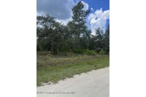 0 ZEBRAFINCH AVENUE, WEEKI WACHEE, FL 34614 - MLS#MFRTB8415321