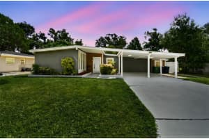 3909 N Clearfield Ave, TAMPA