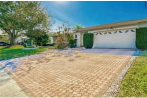 4151 MALLARD DRIVE, SAFETY HARBOR, FL 34695 - MLS#MFRTB8415335