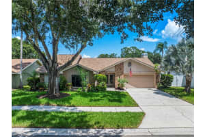 1110 Woodcrest Ave, SAFETY HARBOR