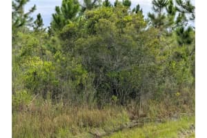 213 BELMONTE DRIVE, INDIAN LAKE ESTATES, FL 33855 - MLS#MFRTB8415350