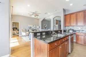 6843 RUNNER OAK DRIVE, WESLEY CHAPEL, FL 33545 - MLS#MFRTB8415363