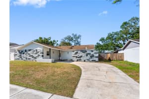 7305 Woodkirk Ct, TAMPA