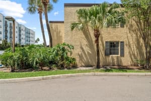 110 ALAMEDA COURT, TAMPA, FL 33609 - MLS#MFRTB8415382