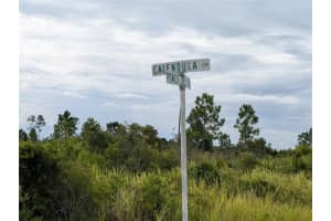 513 CALENDULA DRIVE, INDIAN LAKE ESTATES, FL 33855 - MLS#MFRTB8415384