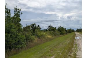 513 CALENDULA DRIVE, INDIAN LAKE ESTATES, FL 33855 - MLS#MFRTB8415384