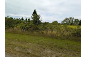 513 CALENDULA DRIVE, INDIAN LAKE ESTATES, FL 33855 - MLS#MFRTB8415384