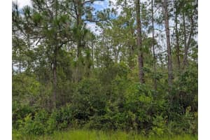 302 PANDORA DRIVE, INDIAN LAKE ESTATES, FL 33855 - MLS#MFRTB8415401