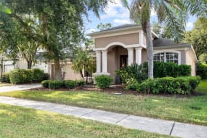 27417 Silver Thatch Dr, WESLEY CHAPEL