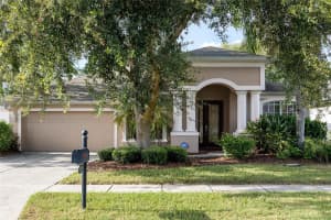 27417 SILVER THATCH DRIVE, WESLEY CHAPEL, FL 33544 - MLS#MFRTB8415418