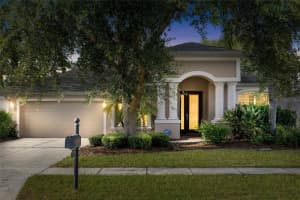 27417 SILVER THATCH DRIVE, WESLEY CHAPEL, FL 33544 - MLS#MFRTB8415418