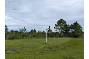 303 JAPONICA AVENUE, INDIAN LAKE ESTATES, FL 33855 - MLS#MFRTB8415425