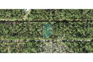 303 JAPONICA AVENUE, INDIAN LAKE ESTATES, FL 33855 - MLS#MFRTB8415425