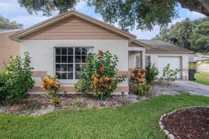1907 Dartford Ct, VALRICO