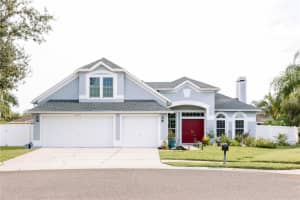 22632 Beltrees Ct, LAND O LAKES