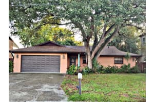 10729 W Drummond Rd W, TAMPA