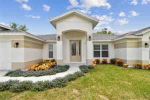 103 2ND AVENUE, LUTZ, FL 33549 - MLS#MFRTB8415470