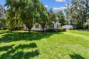 425 VINE STREET, BARTOW, FL 33830 - MLS#MFRTB8415472