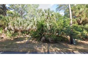 1025 BEACH STREET, PORT CHARLOTTE, FL 33953 - MLS#MFRTB8415484