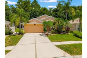 5200 Culpepper Pl, WESLEY CHAPEL