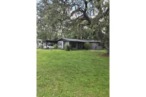 11821 VERA AVENUE, TAMPA, FL 33618 - MLS#MFRTB8415509