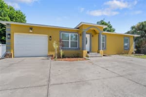 2606 E Annie St, TAMPA