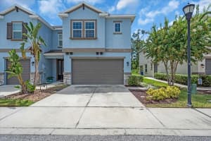 6722 Rocky Park St, TAMPA