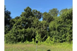 11335 EIGHTH AVENUE, PUNTA GORDA, FL 33955 - MLS#MFRTB8415532