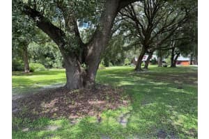 2635 DOVER ROAD, DOVER, FL 33527 - MLS#MFRTB8415536