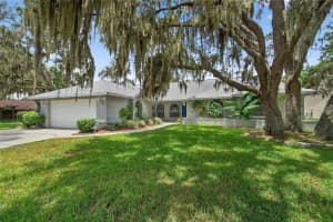 3225 Pine Club Dr, PLANT CITY
