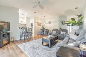 10239 CHATUGE DRIVE, SAN ANTONIO, FL 33576 Sold 10/06/25