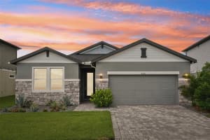7096 Heron Walk Ln, WESLEY CHAPEL