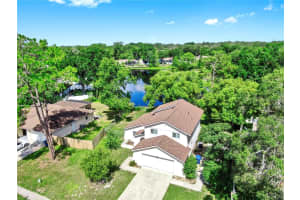1331 FOGGY RIDGE PARKWAY, LUTZ, FL 33559 - MLS#MFRTB8415581