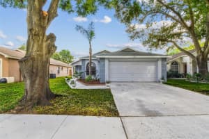 627 Sand Ridge Dr, VALRICO