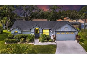 15101 Bald Eagle St, TAMPA