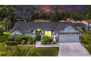 15101 BALD EAGLE STREET, TAMPA, FL 33625 - MLS#MFRTB8415585