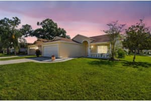13413 Bellingham Dr, TAMPA