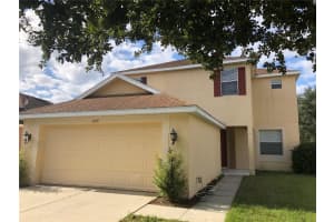20771 Great Laurel Ave, TAMPA