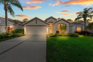 3203 Banyan Hill Ln, LAND O LAKES
