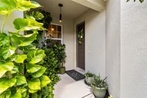 5293 Neil Dr, ST PETERSBURG