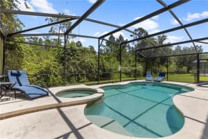 9049 PAOLOS PLACE, KISSIMMEE, FL 34747 - MLS#MFRTB8415671