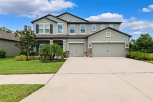 18363 E Porfirio Pl, SPRING HILL