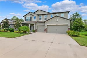 18363 PORFIRIO PLACE, SPRING HILL, FL 34610 - MLS#MFRTB8415692