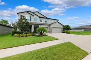 18363 PORFIRIO PLACE, SPRING HILL, FL 34610 - MLS#MFRTB8415692