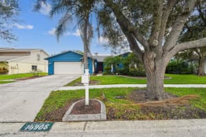 15908 Country Pl, TAMPA