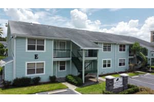 5002 TERRACE PALMS CIRCLE, TAMPA, FL 33617 - MLS#MFRTB8415713