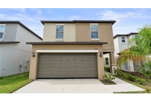 7231 Spring Snowflake Ave, TAMPA