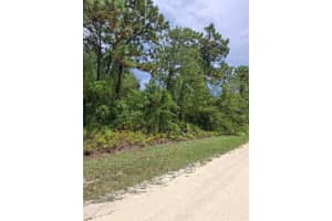 16026 SHELDRAKE LOOP, BROOKSVILLE, FL 34614 - MLS#MFRTB8415849