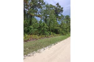 16026 SHELDRAKE LOOP, BROOKSVILLE, FL 34614 - MLS#MFRTB8415849